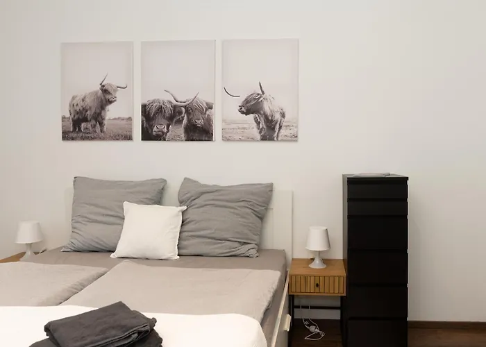 City Apartment Am Zoo & Stadtkern